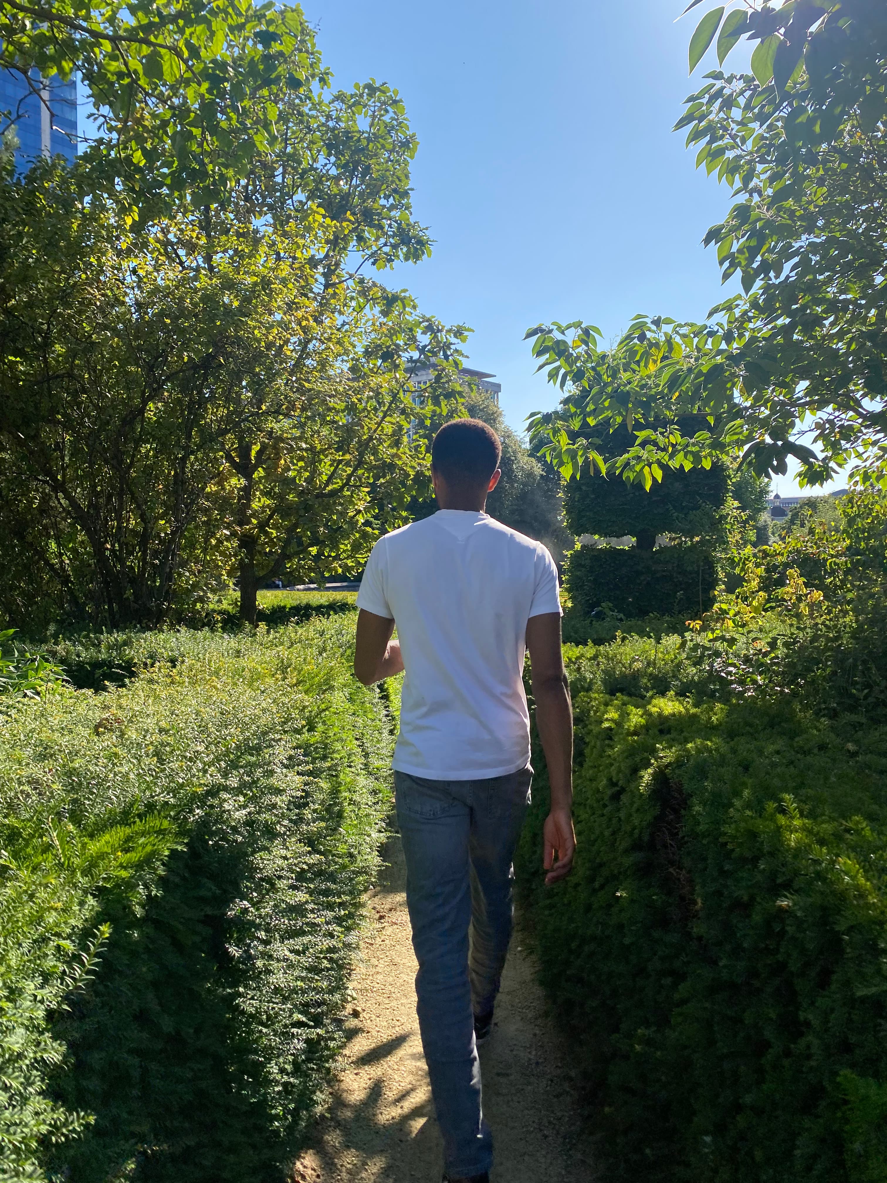 Homme de dos en t-shirt blanc marchant sur un sentier entre des haies verdoyantes.